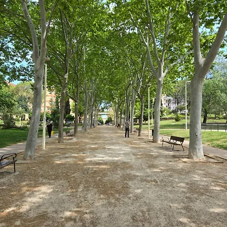 Apartament Enjoy Gandia